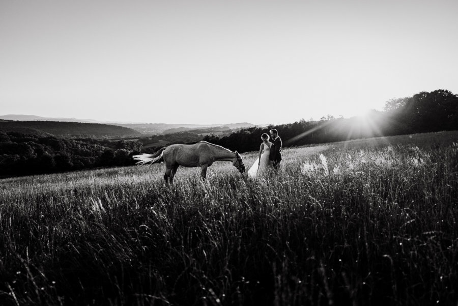 sesja_poslubna_z_koniem_dolina_cedronu_oaza_lencze