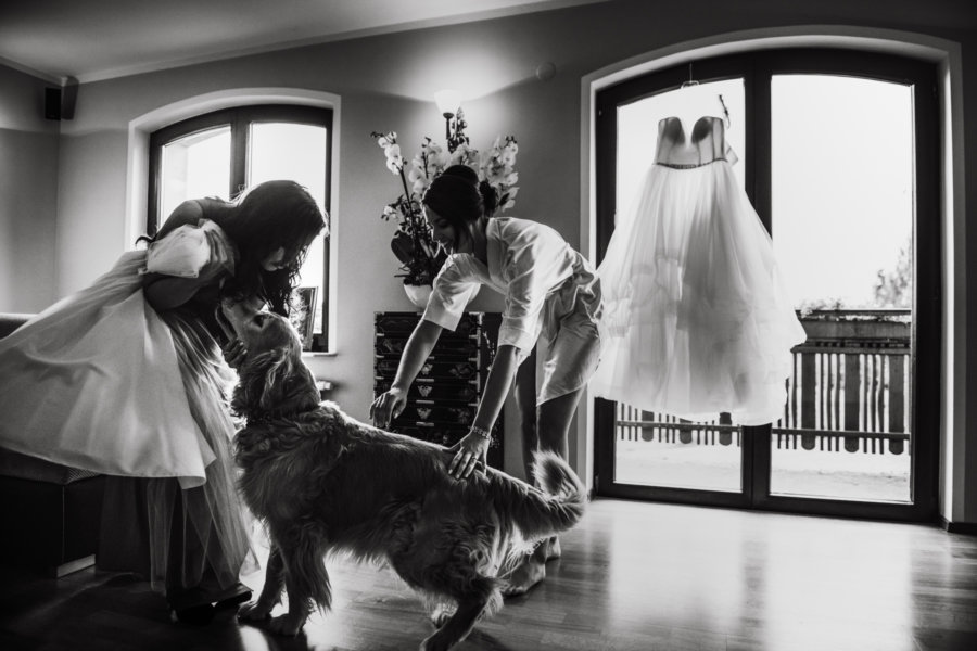 fotografia_slubna_krakow