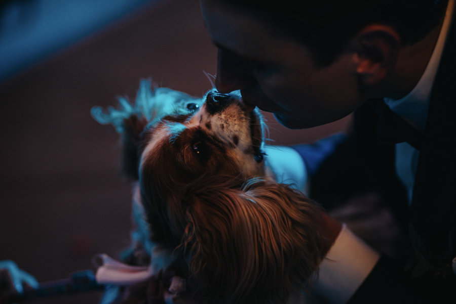 wesele_w_dolinie_cedronu_oaza_lencze