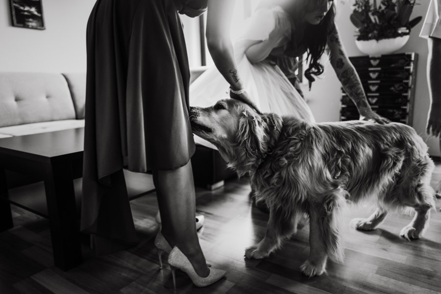 fotografia_slubna_krakow_en_studio