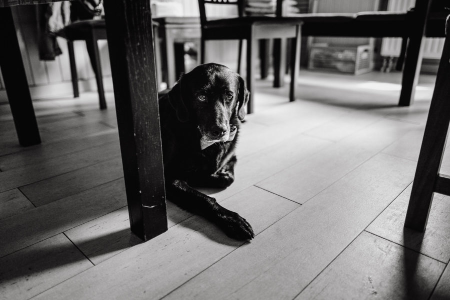 slub_w_krakowie_wesele_w_dworzyszcze_wola_fotografia_slubna_krakow